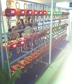 海南電子吊秤廠家直銷(xiāo) 精準(zhǔn)、可靠、高效的稱(chēng)重解決方案